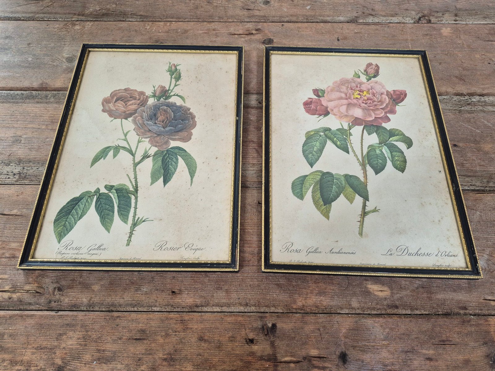 Imprimerie Rémond Botanical Prints – Pair